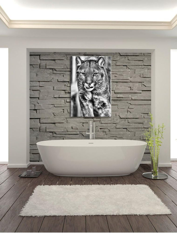 Monocrome, anmutiger Puma, Format: 100x70 auf Leinwand, XXL riesige Bilder fertig gerahmt mit Keilra