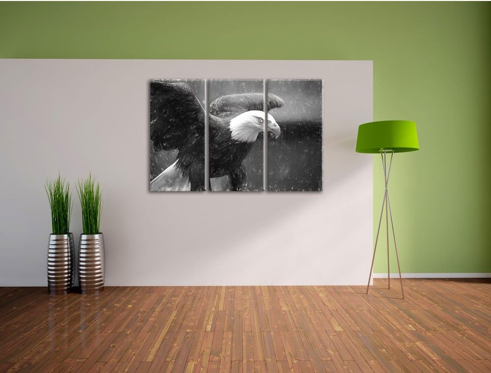 Pixxprint Adler als Leinwandbild/Grösse: 3 Teilig (120x80) cm/Wandbild/Kunstdruck/fertig bespannt
