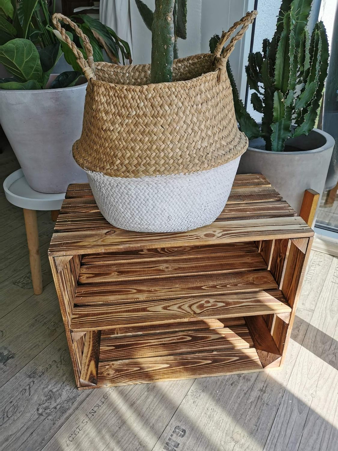 Massive Holzkisten als Schuhregal / Bücherregal LEICHT GEFLAMMT mit Zwischenbrett (verschraubt) Apfe