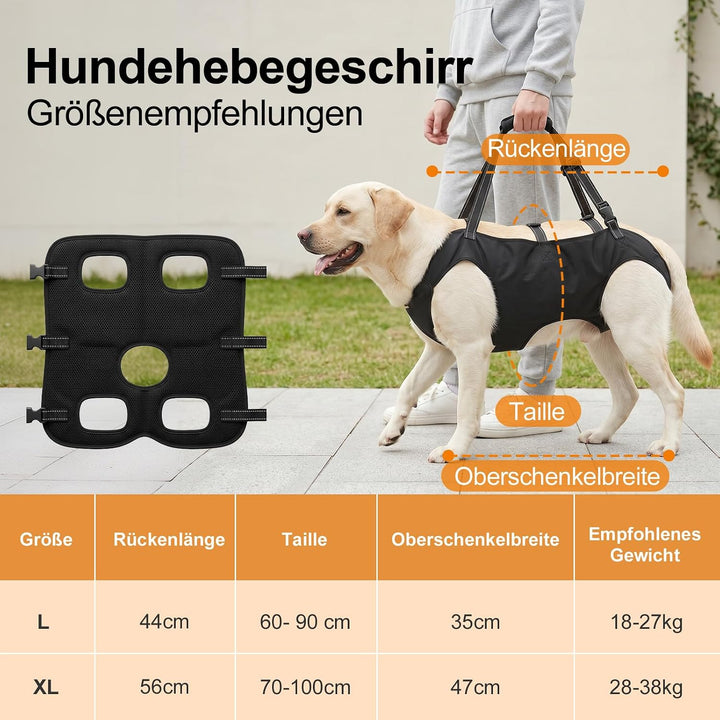 Tragehilfe Hund Gross mit Griffen Verstellbares Hundehebegeschirre, L | Treppenhilfe Hinterbeine Vor