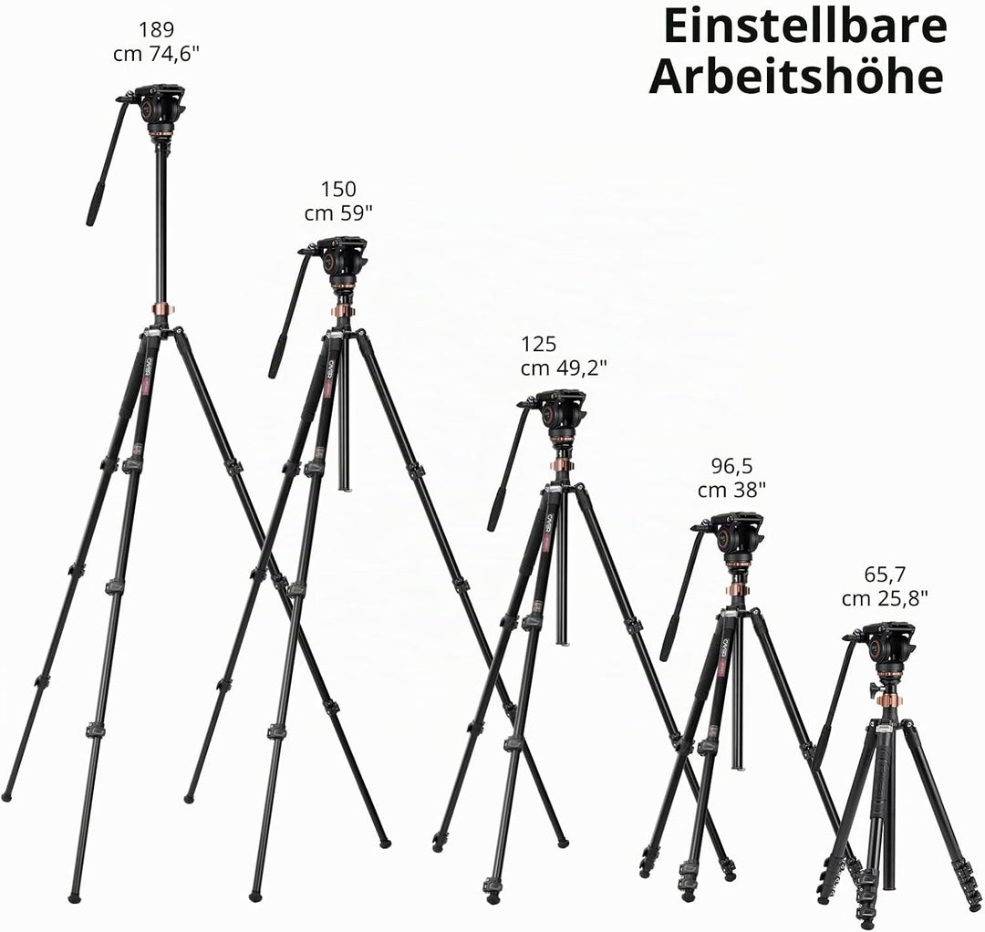 Professionelles Video-Stativ-Einbeinstativ-Kit, Cayer AF2451 67-Zoll-Aluminium-Teleskop-Flip-Lock-St