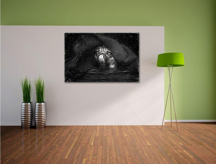 Pixxprint Süsser Mops unter der Decke Kunst als Leinwandbild/Grösse: 100x70 / Wandbild/Kunstdruck/fe