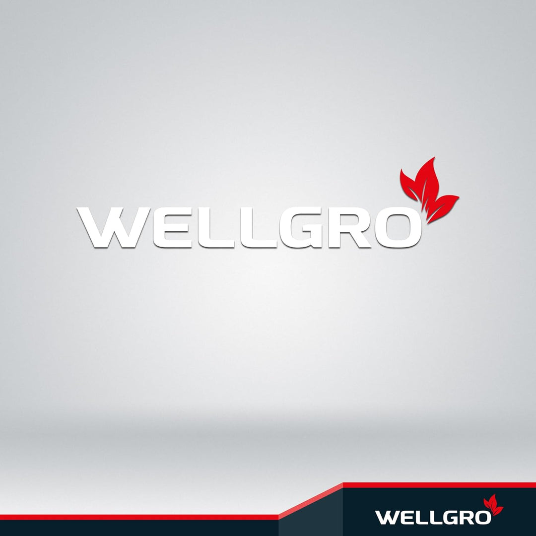 WELLGRO 2 in 1 Standaschenbecher & Mülleimer - Edelstahl, 24,5 x 60 cm (ØxH) - Farbe wählbar, Farbe: