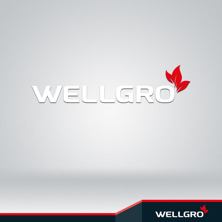 WELLGRO 2 in 1 Standaschenbecher Edelstahl für draussen – Wetterfester Standascher weiss mit Mülleim