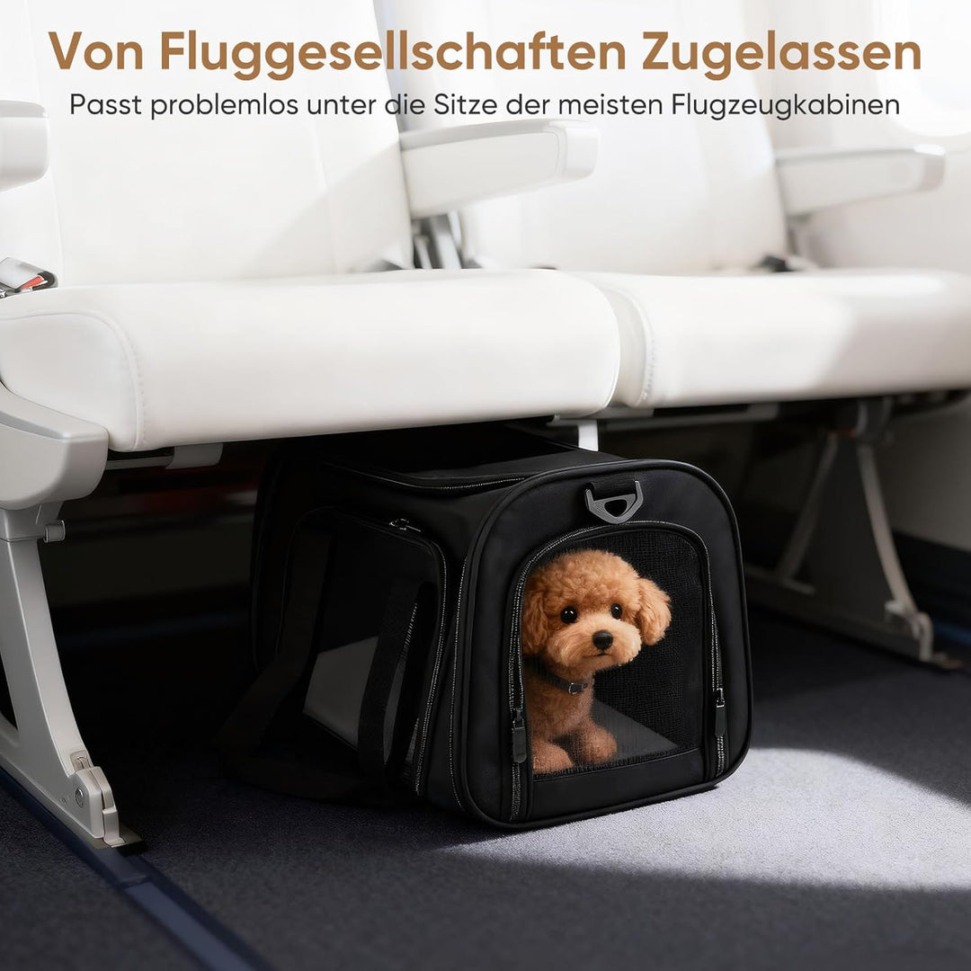 Transporttasche Katze und Hund, Faltbare Katzentransportbox, Haustiertragetasche mit Einstellbar Sch