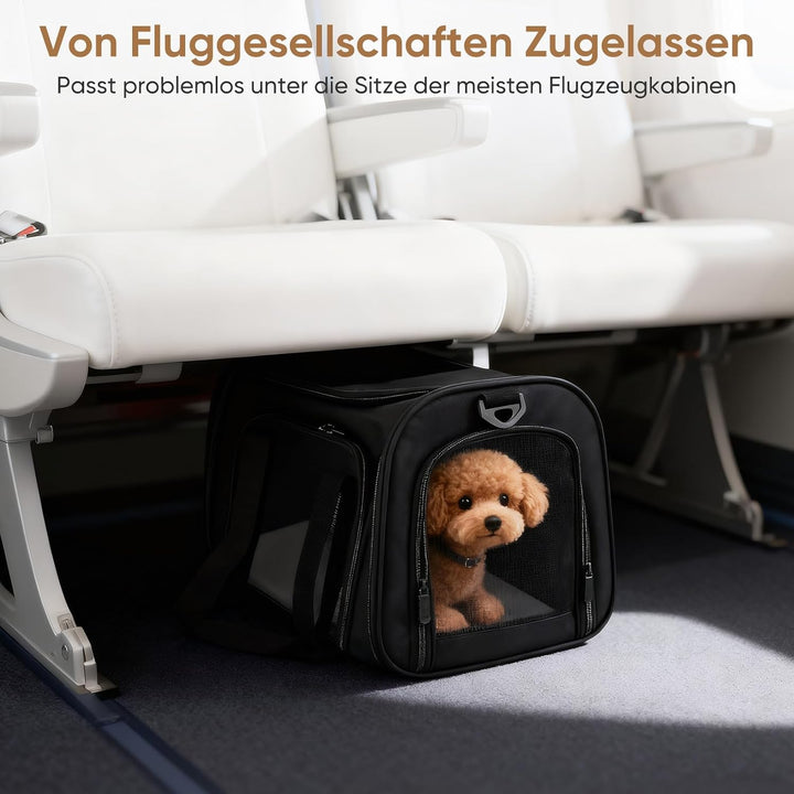 Transporttasche Katze und Hund, Faltbare Katzentransportbox, Haustiertragetasche mit Einstellbar Sch