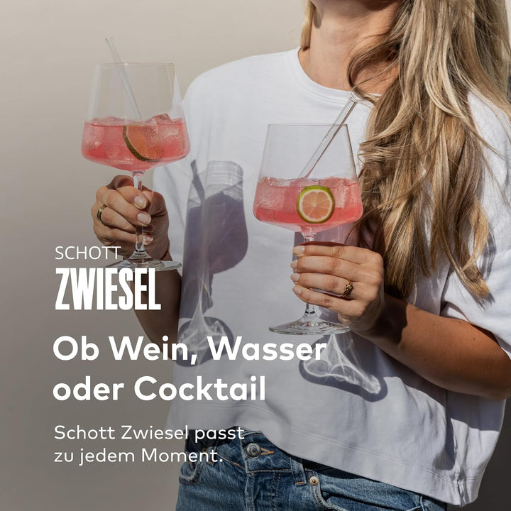 SCHOTT ZWIESEL After Work Drinks Viña, Set mit 4 Bechern, 4 Glastrinkhalmen und 1 Baumwollbürste, sp