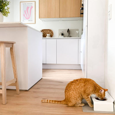 LucyBalu® Erhöhte Doppel-Futterstation Katze | Ergonomischer Katzennapf erhöht | Erhöhter Futternapf