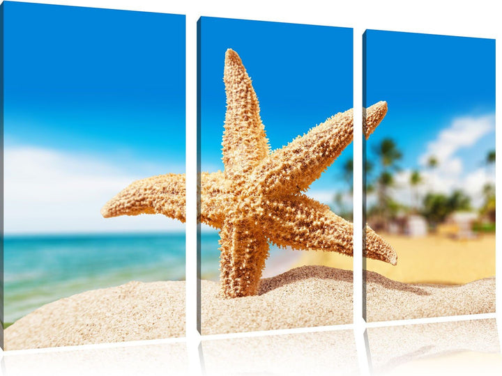 Pixxprint Seestern Palm Beach als Leinwandbild/Grösse: 3 Teilig (120x80) / Wandbild/Kunstdruck/ferti