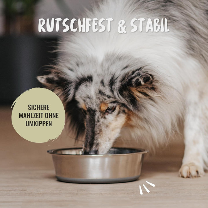 Rudelkönig Futternapf aus Edelstahl - 2er Pack - 1750ml Napf - Rutschfester Fressnapf für Hunde - Sp