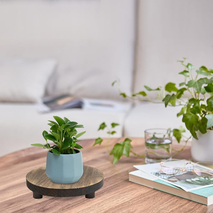 3 Stück Holz Blumenhocker,Rund Pflanzenhocker Blumenständer Dekorativer Kleiner Pflanzenständer,Für