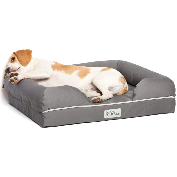 PetFusion Ultimate Solid 2,5 "Memory Foam Haustierbett für kleine Hunde und Katzen (25 x 20 x 5,5" o