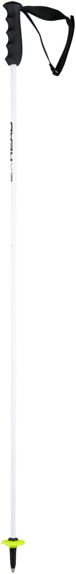 HEAD Worldcup Rebels Carbon Skistöcke 105, 105