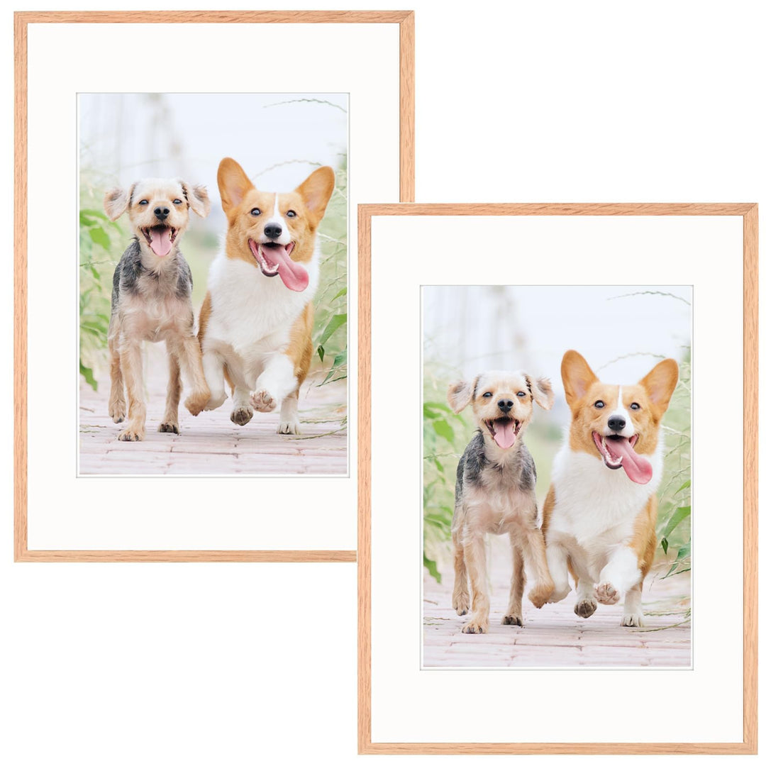 A4 Fotorahmen mit Matte, 2 Pack-21x30cm schwarzer Bilderrahmen Plexi-Glas, Zertifikatsrahmen für Wan