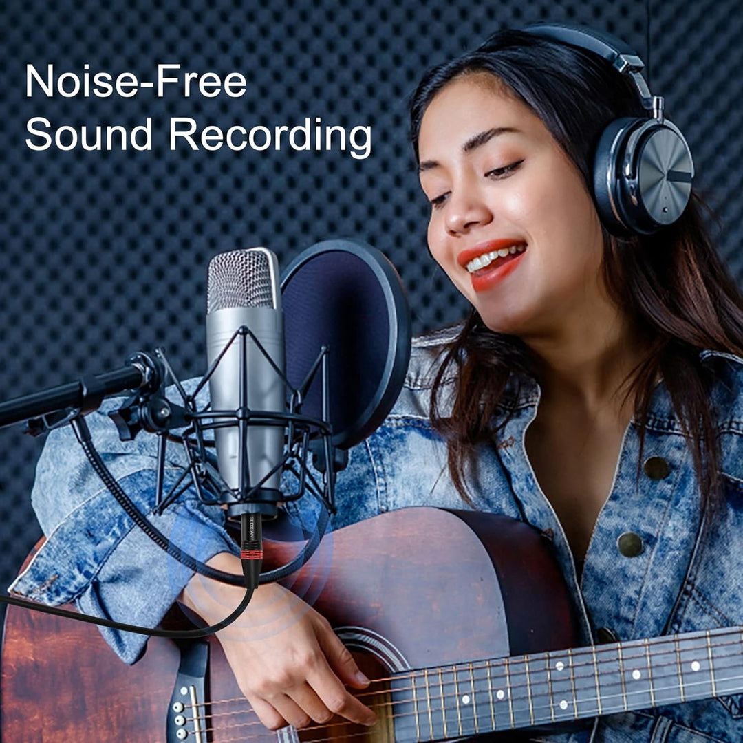 SLDXIAN XLR auf Klinke 6,35mm, XLR Mikrofonkabel Balanced Stereo 1/4 Zoll TRS Stecker auf XLR Stecke