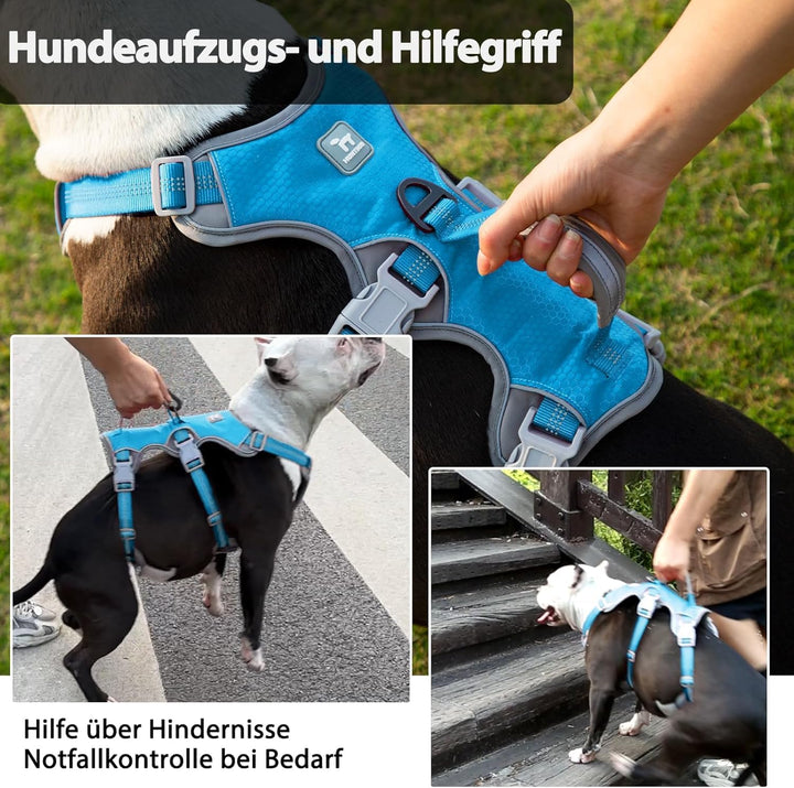 Huntboo Sicherheitsgeschirr Hund Ausbruchsicher, hundegeschirr kleine Hunde, Reflektierendes Geschir