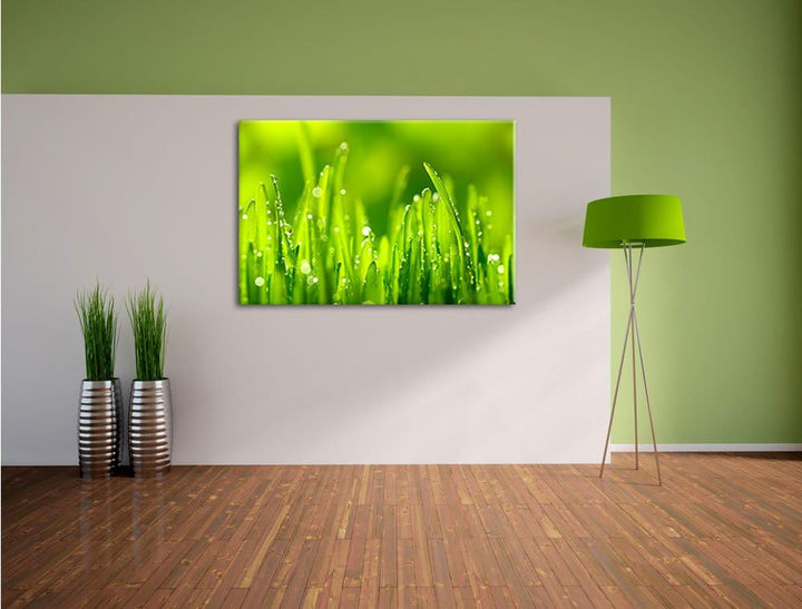 Grashalme mit Tauwasser, Format: 100x70 auf Leinwand, XXL riesige Bilder fertig gerahmt mit Keilrahm