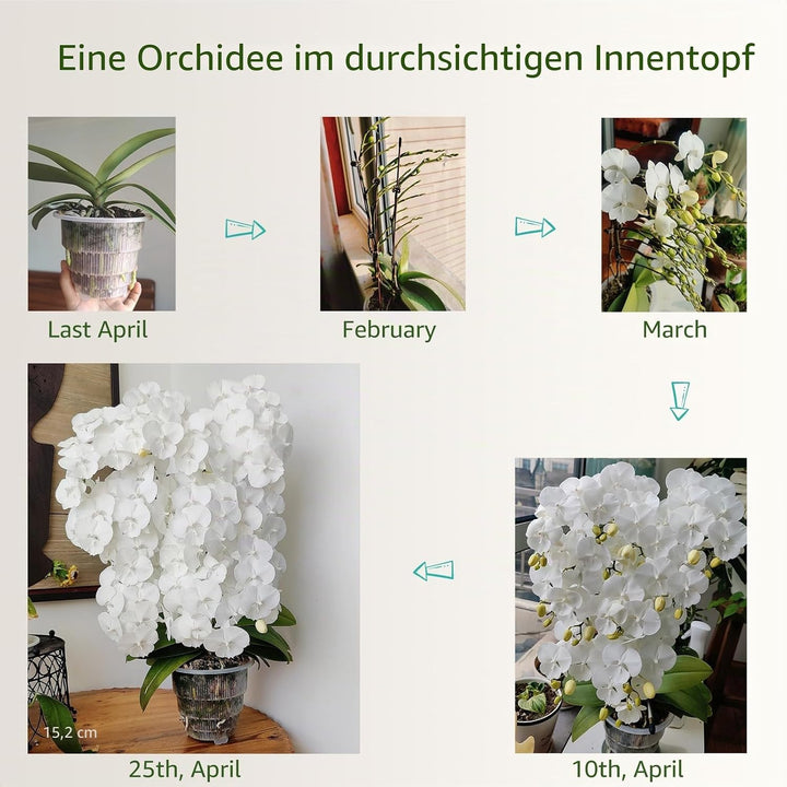 Meshpot Orchideentöpfe mit Löchern zum Umtopfen, 12,7 cm, 2 Stück, doppellagiger Kunststoff-Imitat,