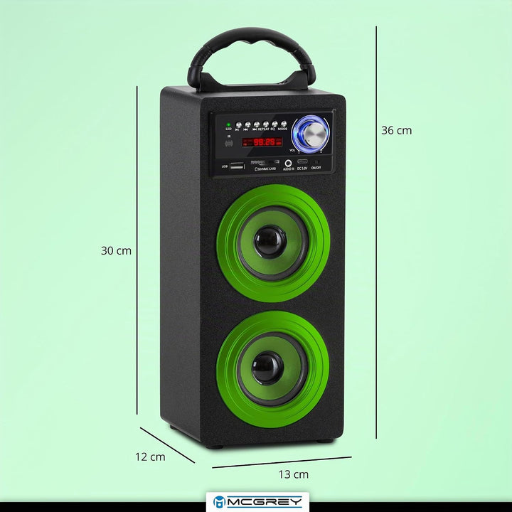 McGrey BS-20 Beachside Bluetooth Akku-Lautsprecher - Tragbare Musikbox mit Bluetooth, FM-Radio, USB/