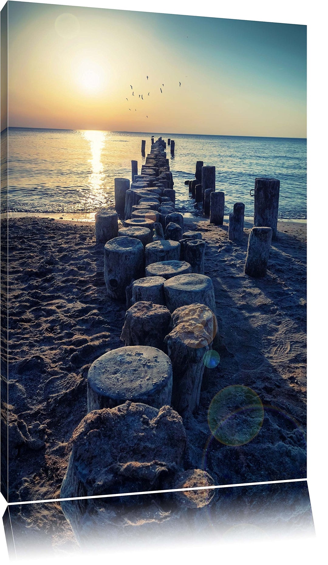Baumstümpfe am Meer Format: 100x70 auf Leinwand, XXL riesige Bilder fertig gerahmt mit Keilrahmen, K