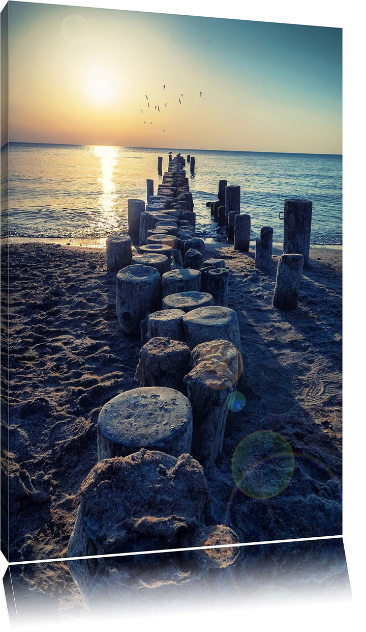 Baumstümpfe am Meer Format: 100x70 auf Leinwand, XXL riesige Bilder fertig gerahmt mit Keilrahmen, K