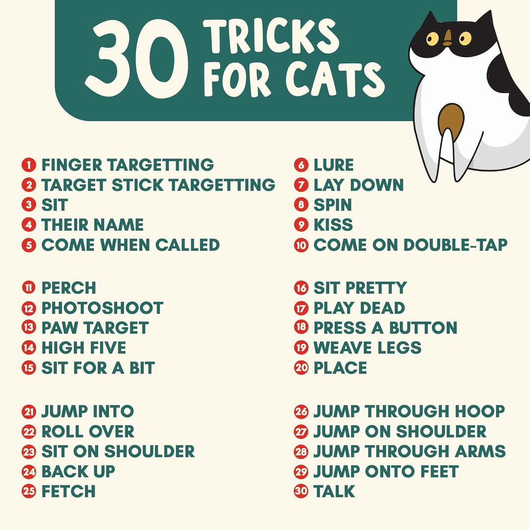 OutdoorBengal The Click Crusade (Cat Training Card Game Guide to Clicker Training for Cats for Teach