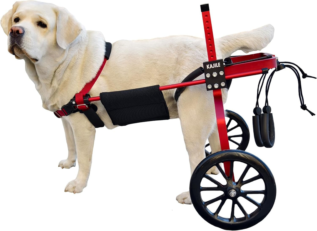KAJILE Verstellbarer 2-Rad-Hunderollstuhl, XXL-2 Grösse für behinderte Hunde Hinterbeine Rehabilitat