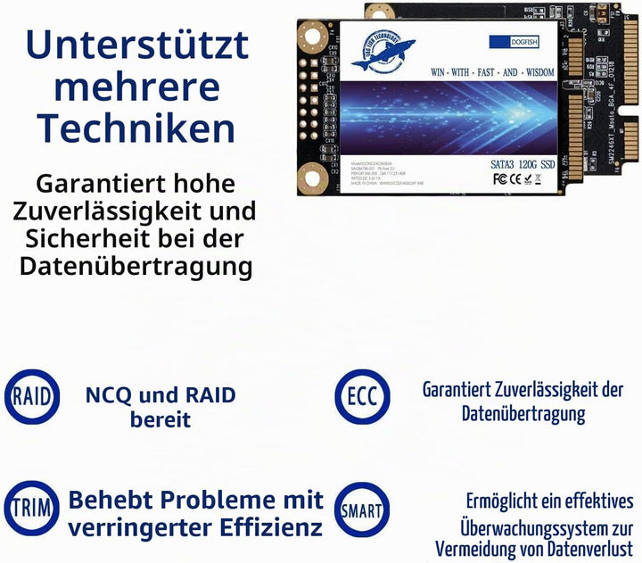 Dogfish SSD MSATA 256GB SataIII 6Gb/s Interne Solid State Drive SSD High Performance Festplatte Aus