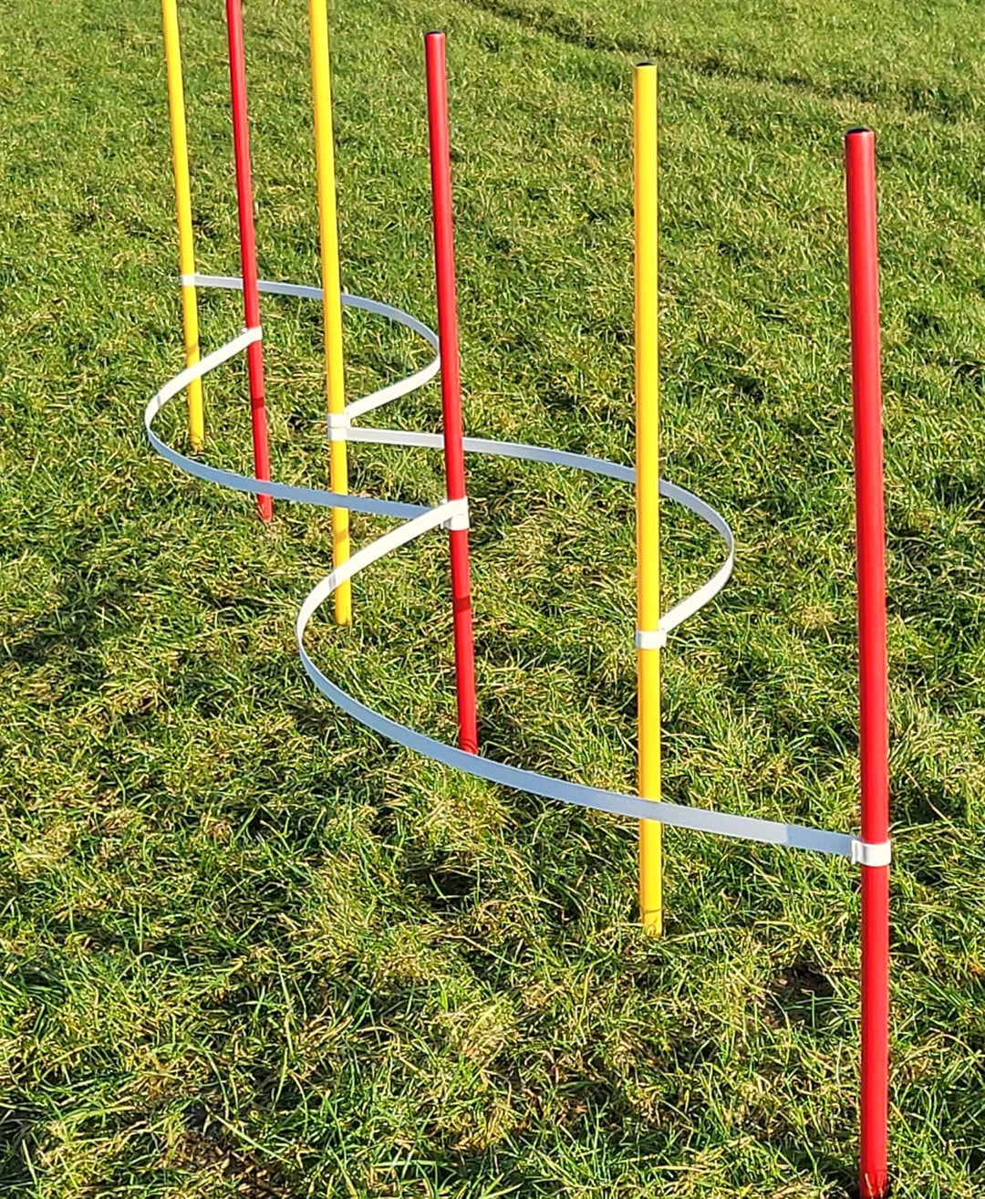 Wuzzmann Agility - Slalom - AUSBILDUNGSSET MIT 4 SLALOMBÖGEN/TRAININGSBÖGEN + 6 SLALOMSTANGEN ROT/GE