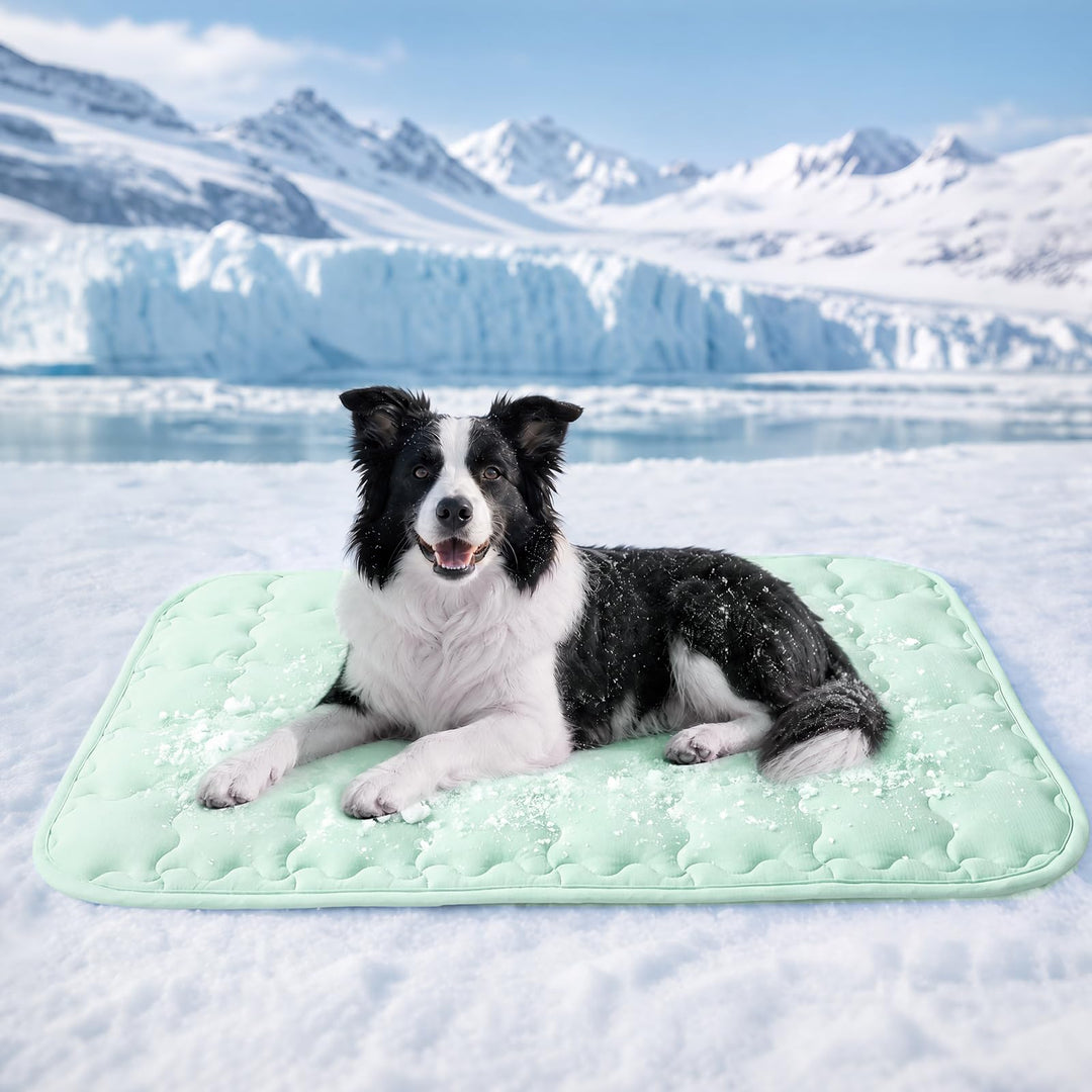 luciphia Kühlmatte Hund für Katze Hunde,Hundematte Sommer Kühlkissen Waschbares Hundebett,Kühldecke