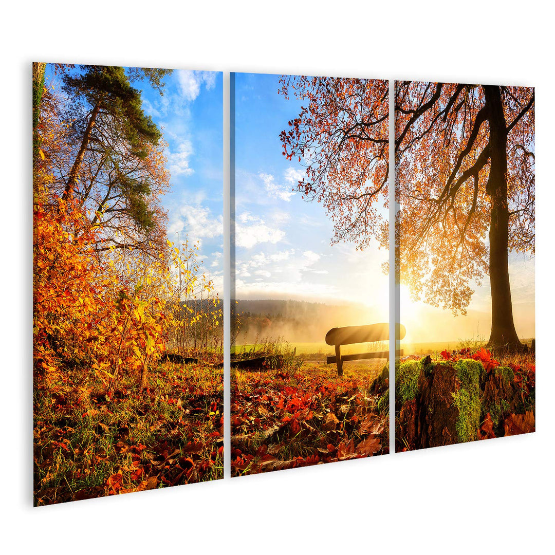 Bild Bilder auf Leinwand Herbstlandschaft mit der Sonne, die warm eine Bank unter einem Baum, vielen