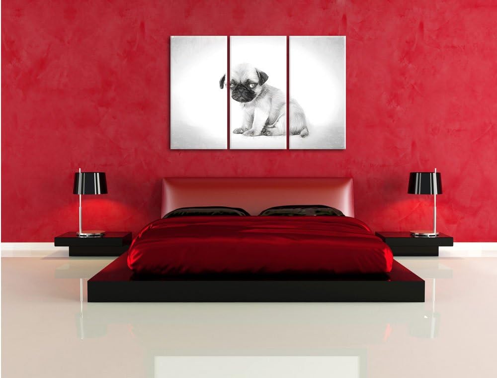 Pixxprint Kleiner Hundewelpe Mops als Leinwandbild/Grösse: 3 Teilig (120x80) cm/Wandbild/Kunstdruck/
