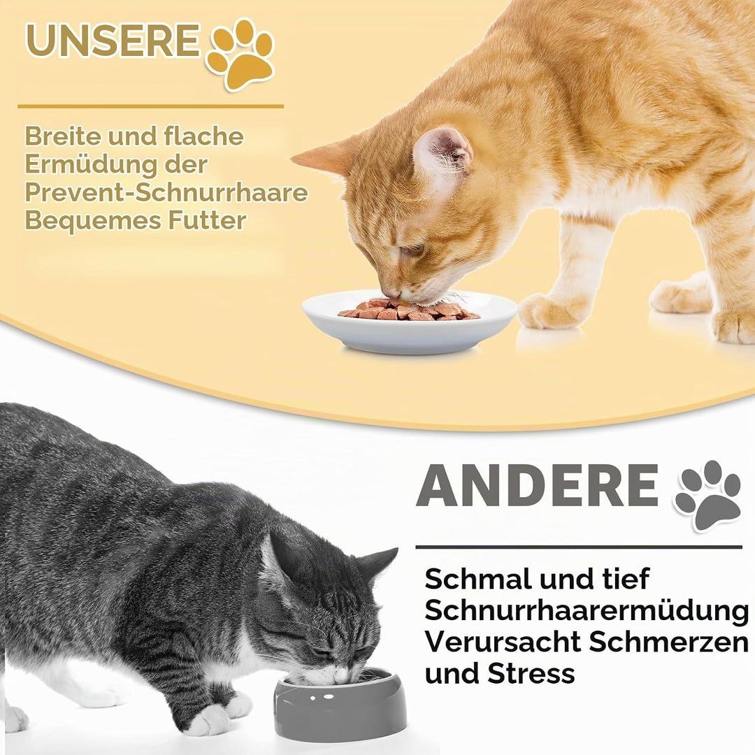 Galerie SV 6 Stück Futternapf Katze - Katzen Napfset - Katzennapf Keramik - Katzennapf ErhöHt - Napf
