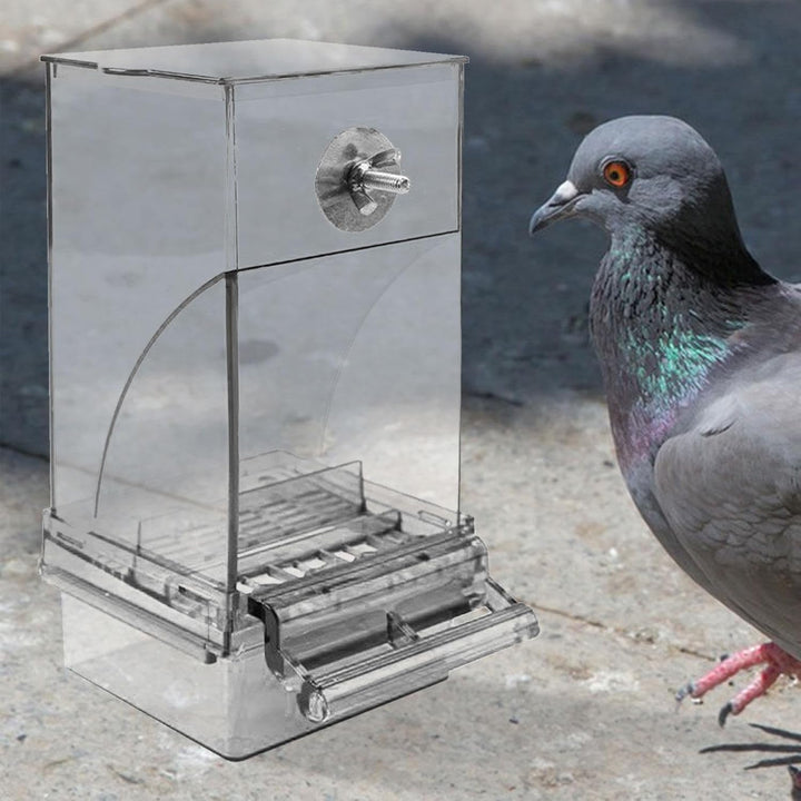 Vogelfutterspender Transparenter grosser Acryl-Futterbehälter | Automatischer Vogel-Futterbehälter F