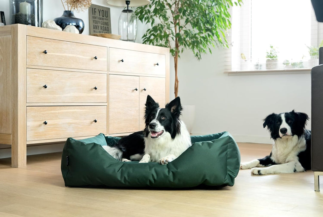 BedDog Hundebett Zara, Hundekissen mit abziehbaren waschbaren Bezug, Hundekorb, Hundesofa, für mitte