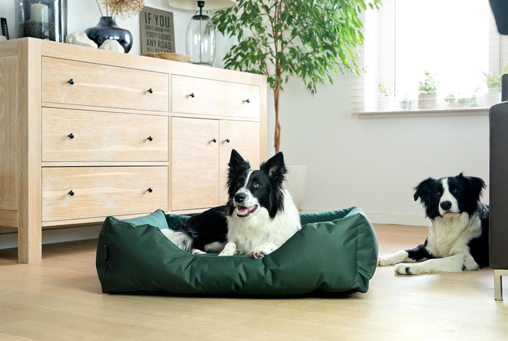 BedDog Hundebett Zara, Hundekissen mit abziehbaren waschbaren Bezug, Hundekorb, Hundesofa, für mitte