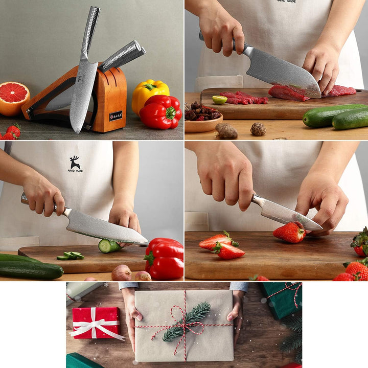 Damaskus Küchenmesser Set, Messerblocksets mit Kochmesser, Santoku Messer und Schälmesser, Professio