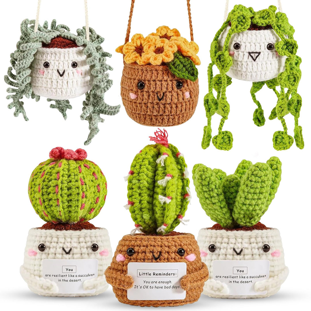 ASTNIC Häkelset für Anfänger,6 Stück Hängende Topfpflanze Cactus Häkeln Starter Kit Erwachsene mit A