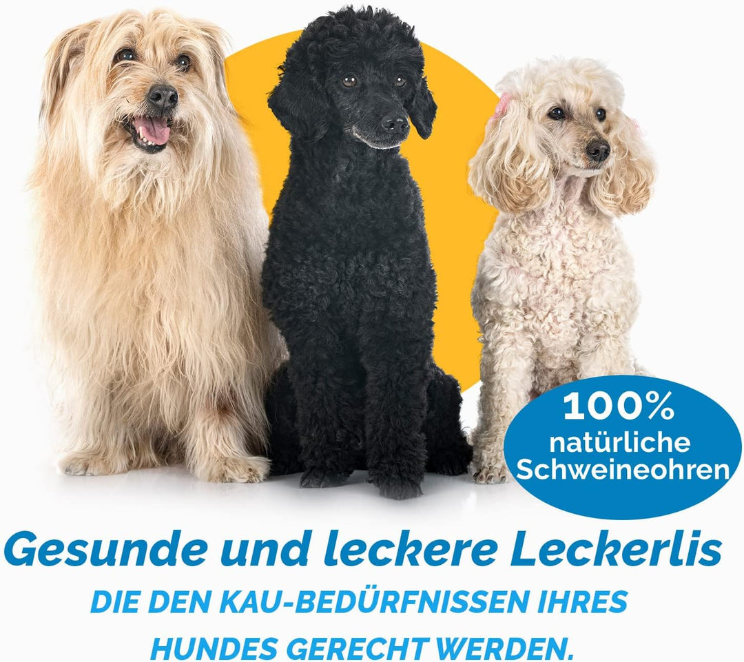 123 Treats Whole Pig Ear Dog Chews Pig Ear Dog Treats (100 Pieces) 100 stück (1er Pack), 100 stü
