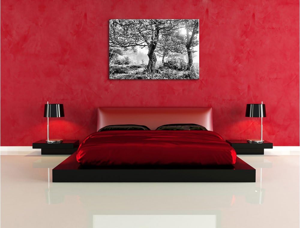 Pixxprint Traumhafte Herbstlandschaft als Leinwandbild/Grösse: 100x70 / Wandbild/Kunstdruck/fertig b