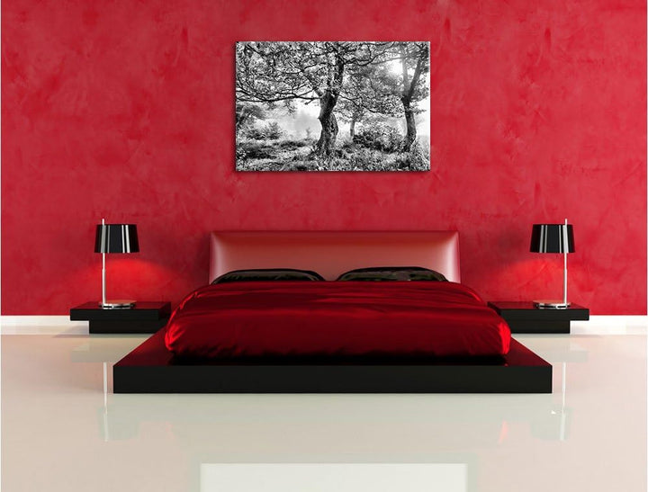 Pixxprint Traumhafte Herbstlandschaft als Leinwandbild/Grösse: 100x70 / Wandbild/Kunstdruck/fertig b