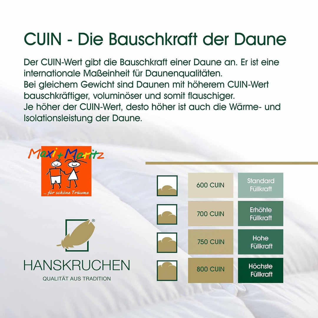 HANSKRUCHEN® Maxi und Moritz Kinderwagenkissen 80x80 cm - Made in Germany Babydecke für Kinderwagen