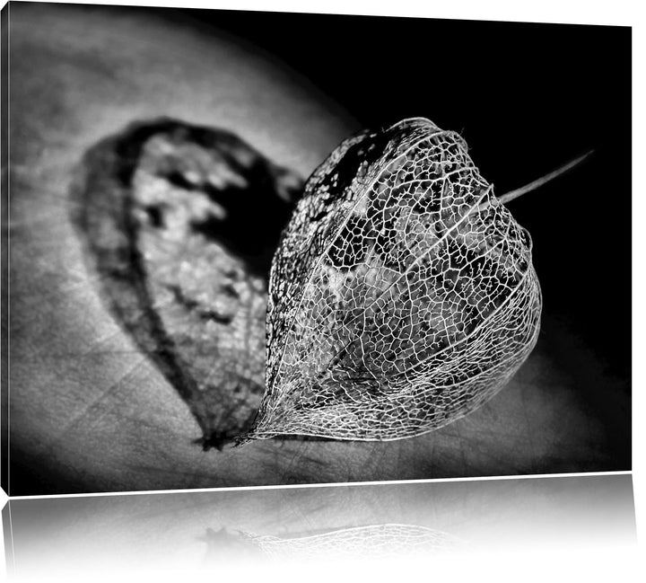 Pixxprint Schatten Einer Physalis / 100x70cm Leinwandbild bespannt auf Holzrahmen/Wandbild Kunstdruc