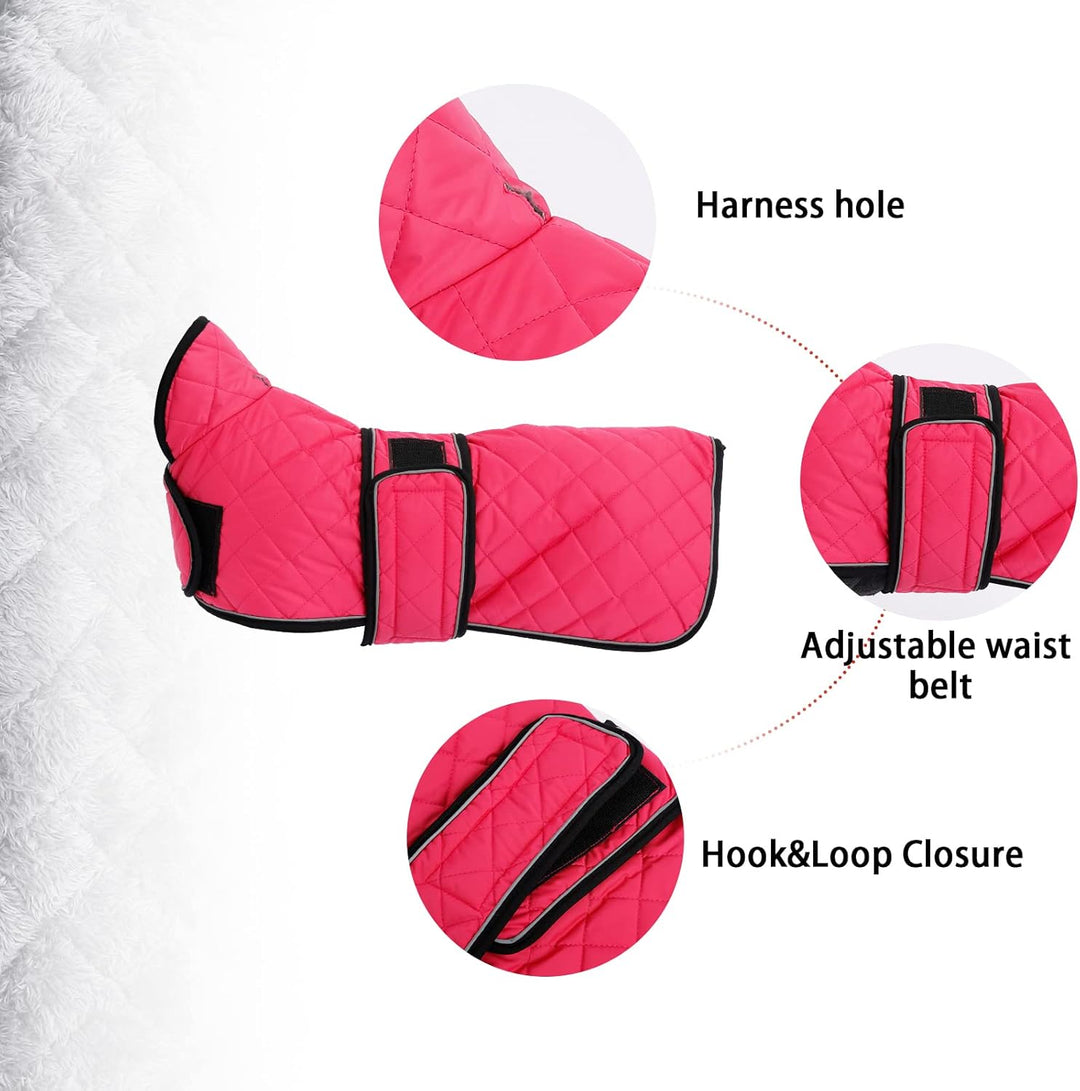 Geyecete - Warmer wintermantel für dackel Hunde,Hunde Winterjacken mit plüschfutter,Outdoor jacken m