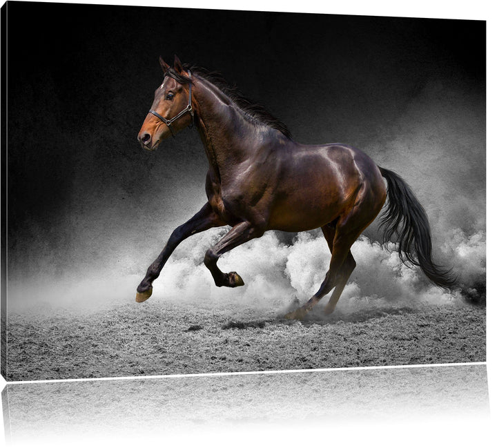 prächtiger Hengst im Sand schwarz/weiss Format: 100x70 auf Leinwand, XXL riesige Bilder fertig gerah