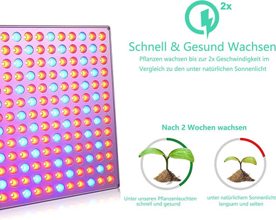 Lospitch Pflanzenlampe LED 45W ,LED Grow Lampe,Pflanzenleuchte mit Rot Blau Licht Vollspektrum, Pfla