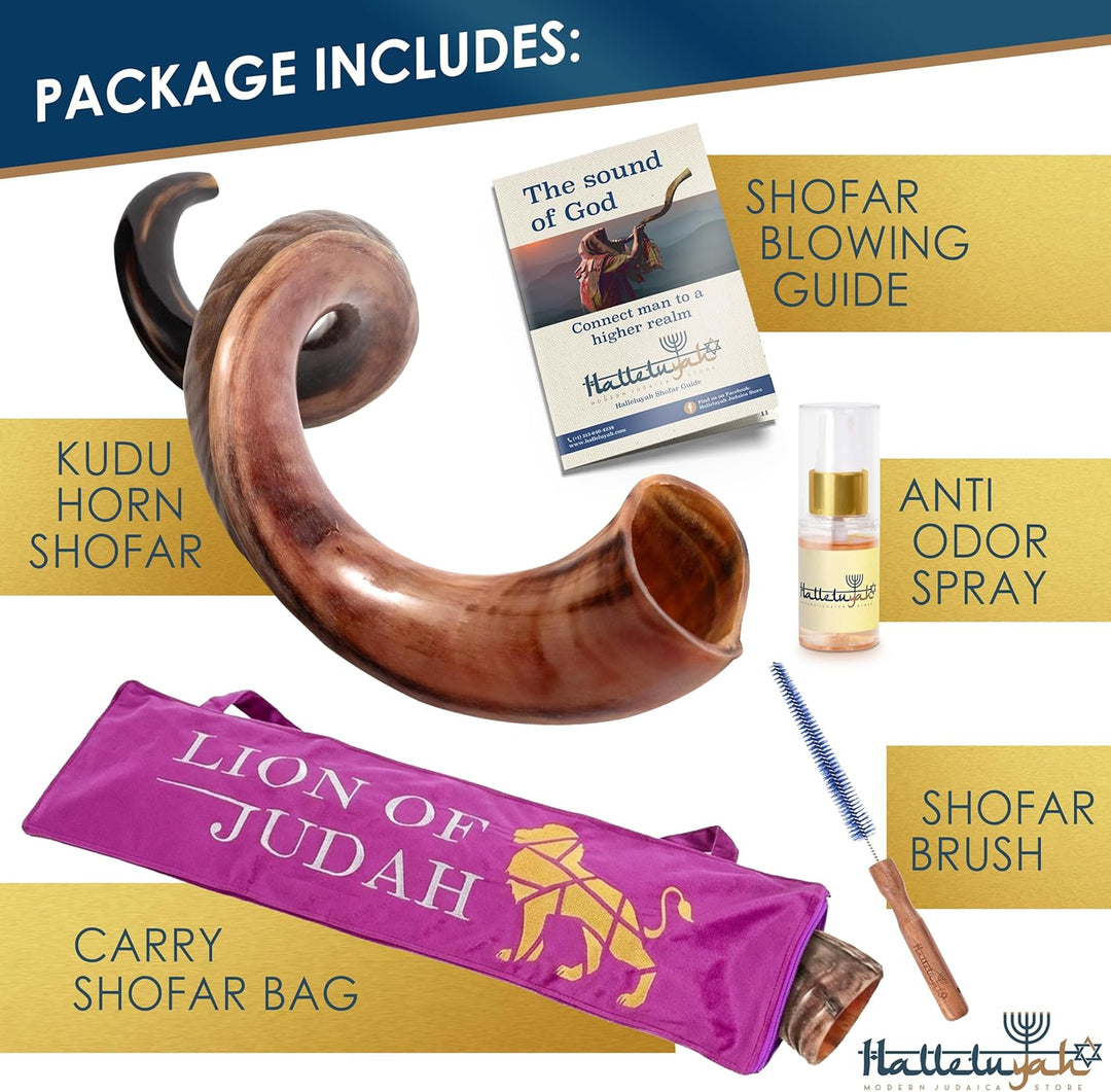 HalleluYAH Original koscher, halbpolierter Kudu Shofar aus Israel 35"-39", 35"-39"