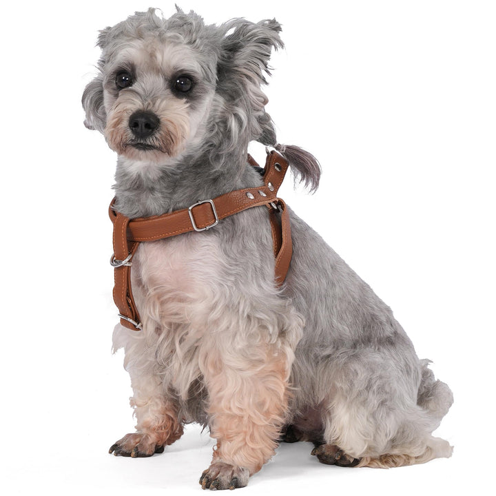 Hundegeschirr Leder Softgeschirr Verstellbare Brustgeschirre Norweger Haustier Ledergeschirr Weichem