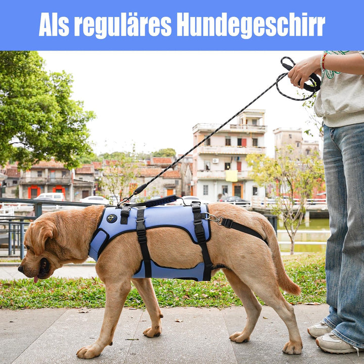COODEO Hundegeschirr, Ganzkörperstütze und Erholungsweste, verstellbar und atmungsaktiv, für ältere,