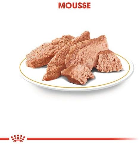 Royal Canin Poodle Adult | Doppelpack | 2 x 12 x 85 g | Nassfutter für ausgewachsene Pudel | Zur Unt